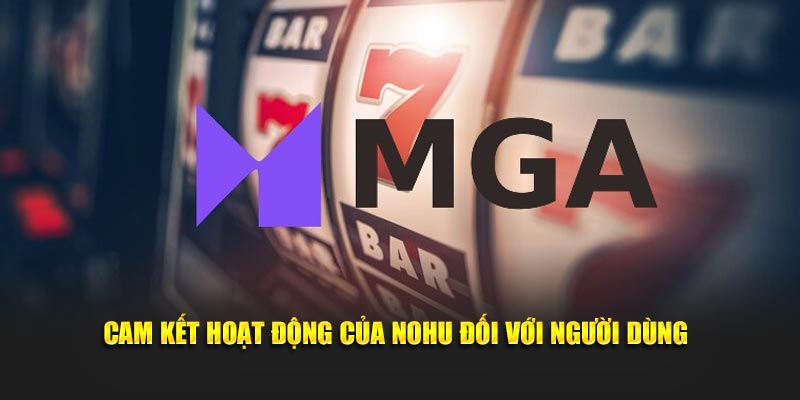 Cam kết của NOHU đối với người dùng